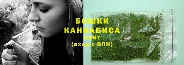 гидропоника Бородино