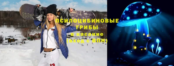 стафф Белокуриха