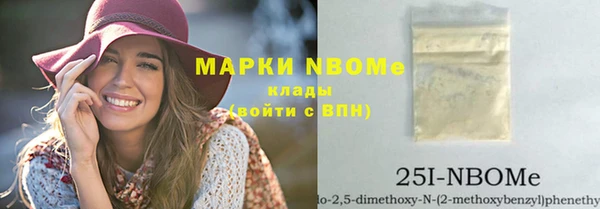 молекула духа Снежногорск