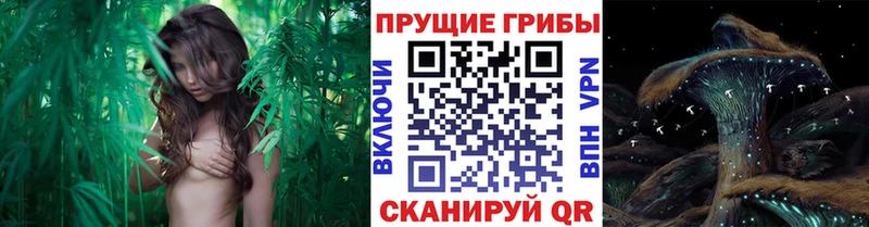 Галлюциногенные грибы прущие грибы  что такое   Дно 